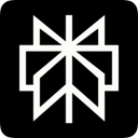 Logo Perplexity